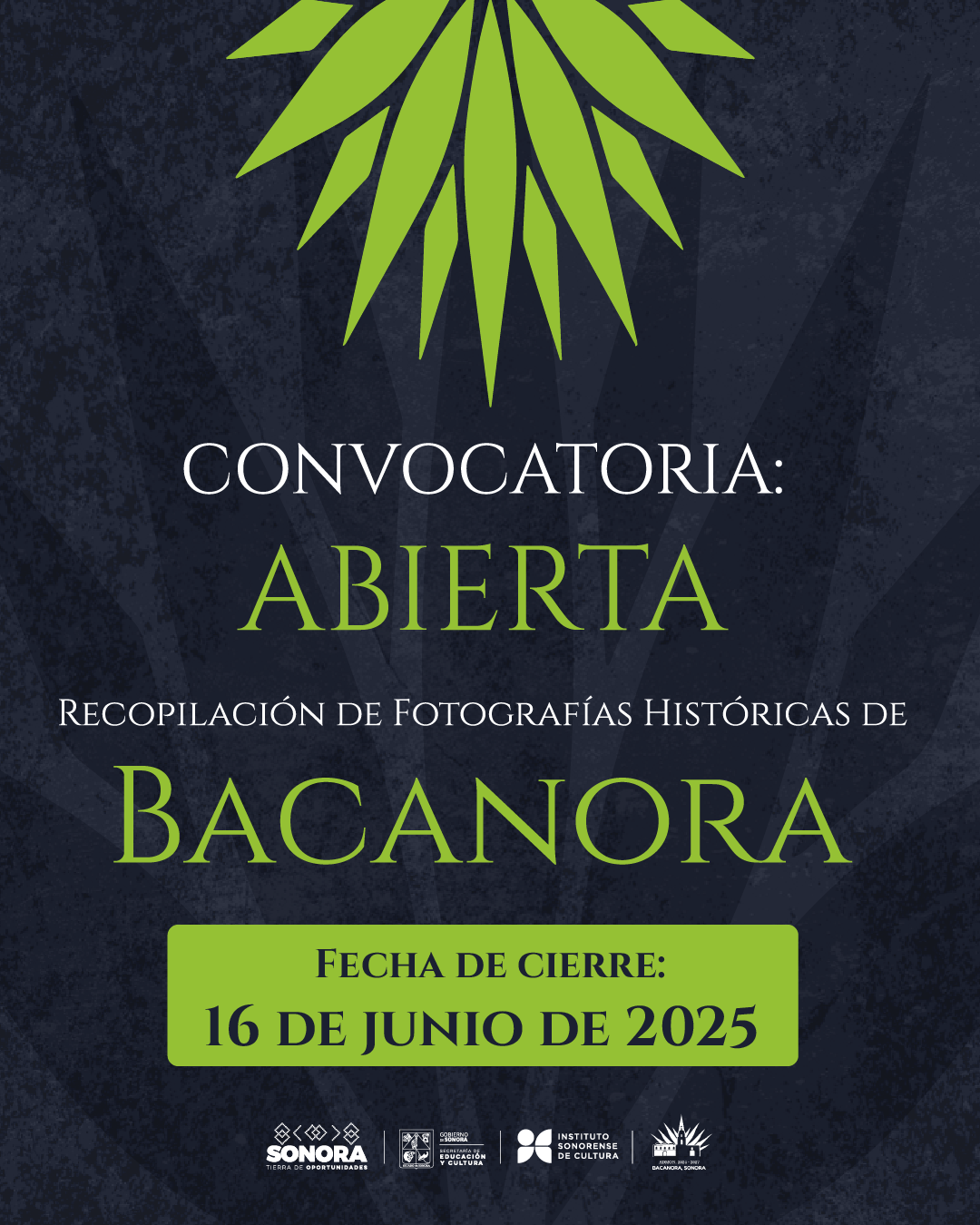 Convocatoria Recopilación de Fotografías Históricas de Bacanora